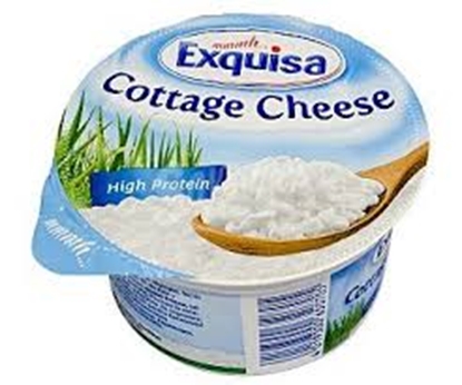 Picture of EXQUISA COTTAGE CHEESE